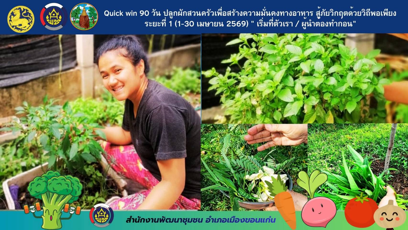 สำนักงานพัฒนาชุมชนอำเภอเมืองขอนแก่น Quick win 90 วัน ปลูกผักสวนครัวเพื่อสร้างความมั่นคงทางอาหาร สู้ภัยวิกฤตด้วยวิถีพอเพียง