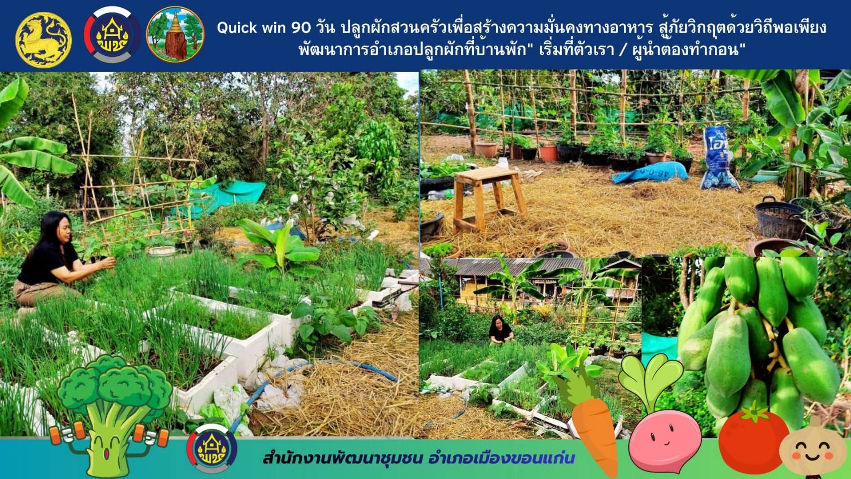 สำนักงานพัฒนาชุมชนอำเภอเมืองขอนแก่น Quick win 90 วัน ปลูกผักสวนครัวเพื่อสร้างความมั่นคงทางอาหาร สู้ภัยวิกฤตด้วยวิถีพอเพียง