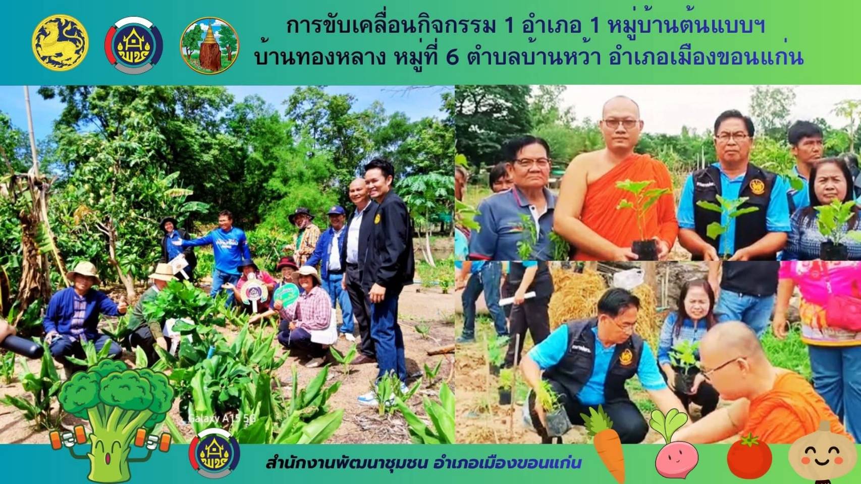ส่งเสริมการปลูกผัก สร้างความมั่นคงทางอาหาร